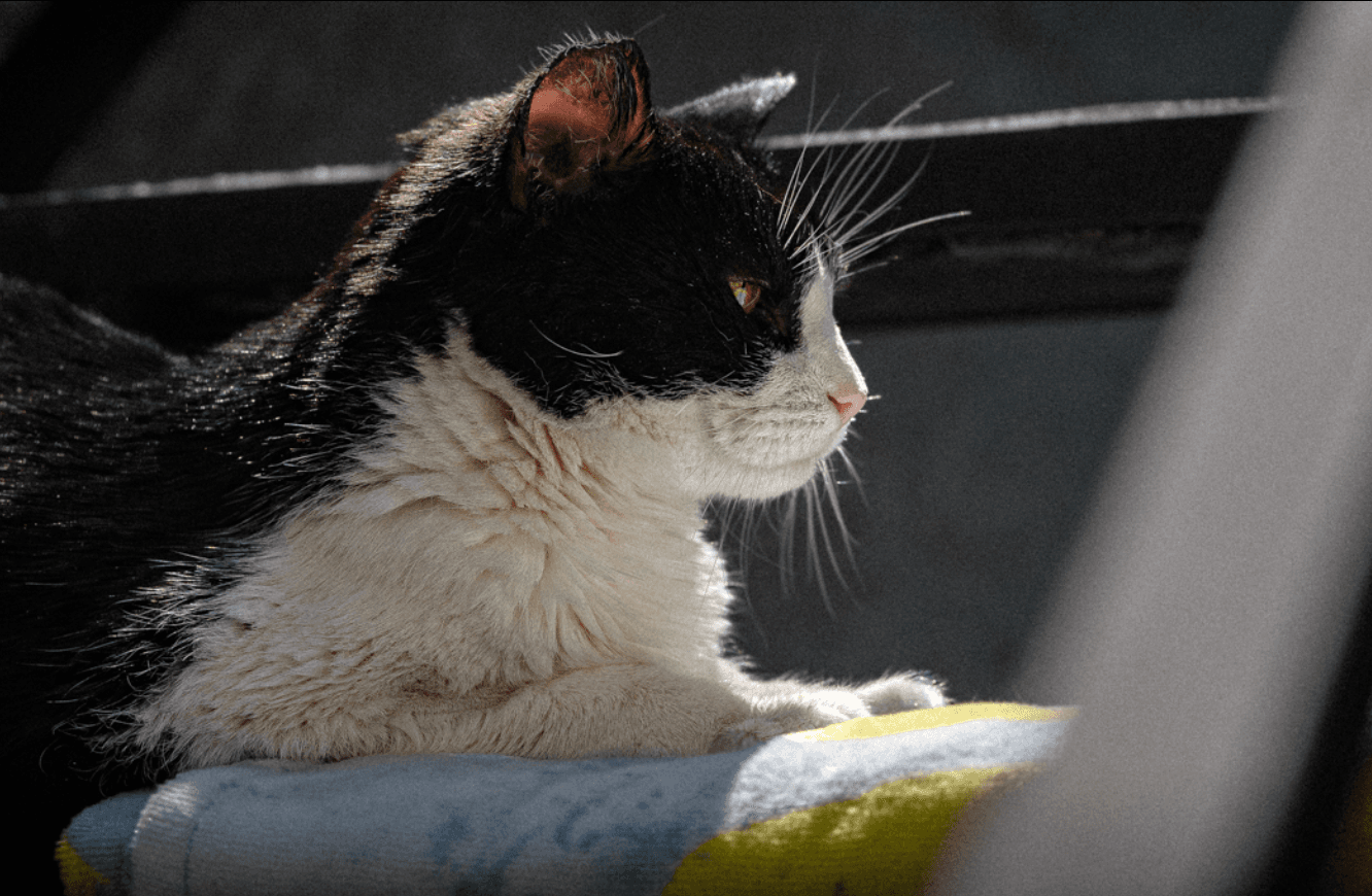 Exploración creativa